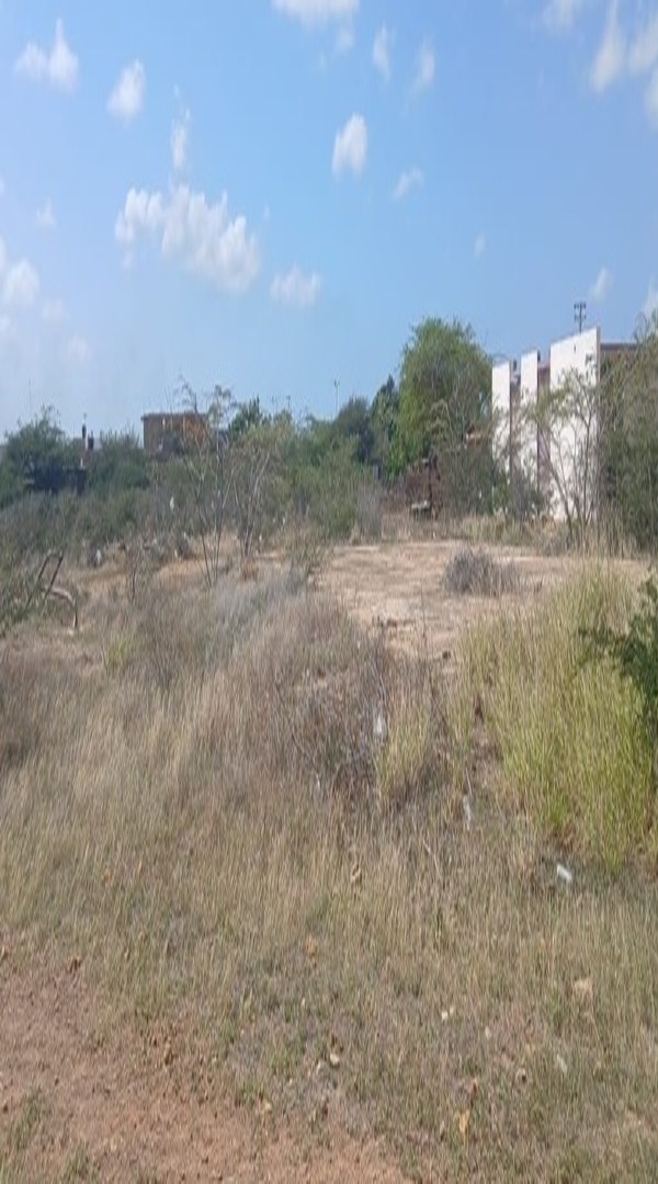 PLT-323 Terreno en Venta En Punto Fijo, Guanadito Norte, Municipio Los Taques, Estado Falcòn