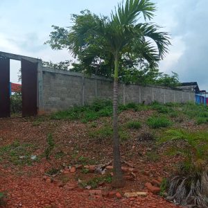 ELBT-070 Terreno en Venta Avenida Intercomunal