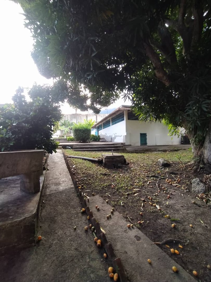 PLC-1233 Casa en Venta Quinta Calle Cascabel Con Avenida Cedeño - Imagen 7