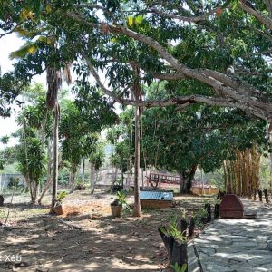 ELBT-82 Terreno en Venta Asentamiento Campesino La Mata