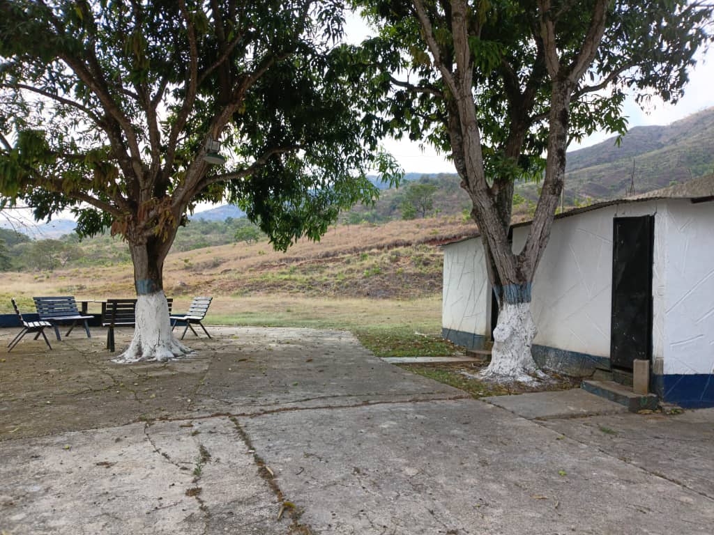 VIF-7 Finca en Venta Tinaquillo Edo Cojedes Via Carache - Imagen 3