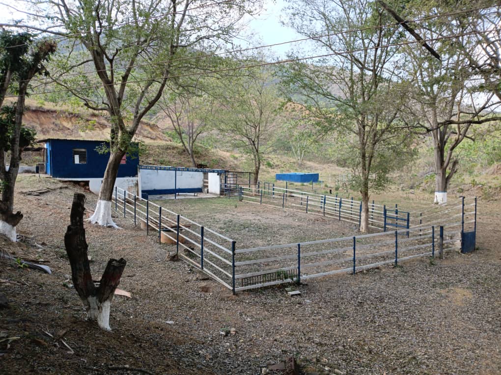 VIF-7 Finca en Venta Tinaquillo Edo Cojedes Via Carache - Imagen 4