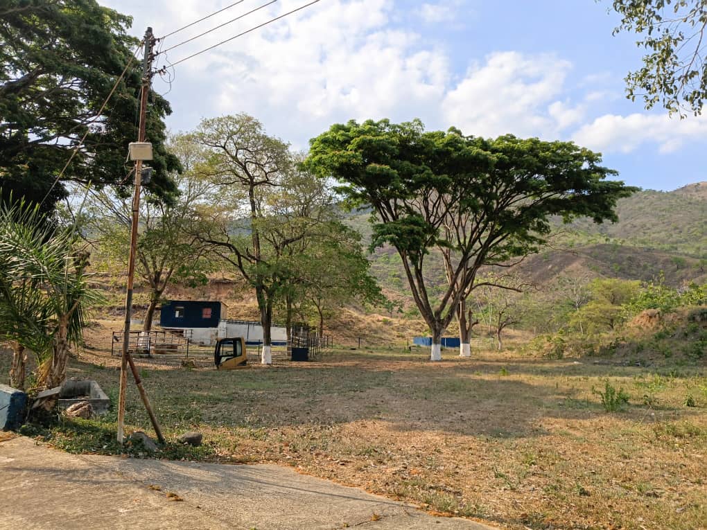 VIF-7 Finca en Venta Tinaquillo Edo Cojedes Via Carache - Imagen 5