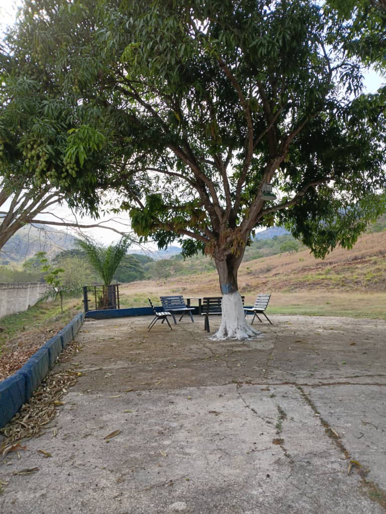 VIF-7 Finca en Venta Tinaquillo Edo Cojedes Via Carache - Imagen 6