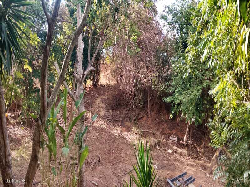 ELBF-66 Finca en Venta Granja En Asentamiento Campesino La Mata - Imagen 4
