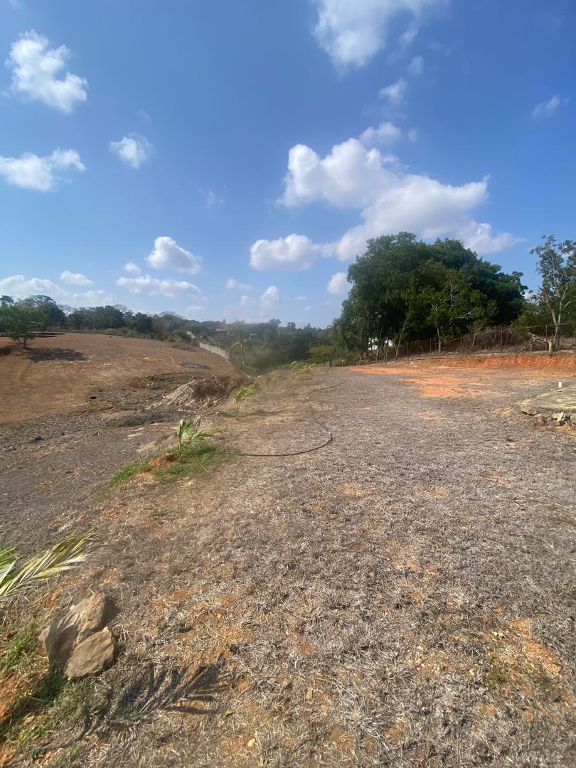 LGT-19 Terreno en Venta El Manzano - Imagen 13