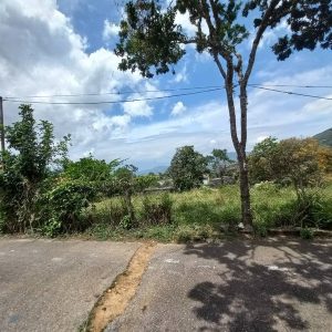 VICT-5 Terreno en Venta La Laguna De Palmira N° Sb-02