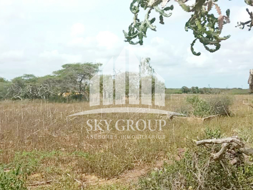 PLT-261 Terreno en Venta Con Bienhechuría En Jamaica, Falcón - Imagen 3