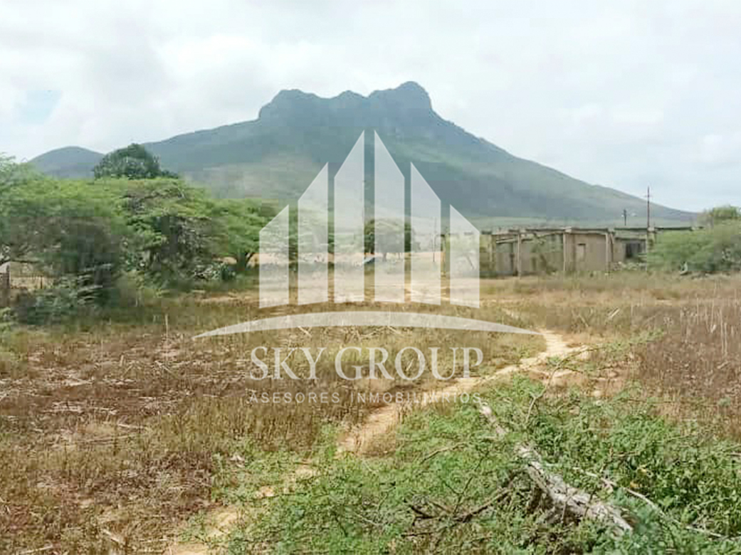 PLT-261 Terreno en Venta Con Bienhechuría En Jamaica, Falcón - Imagen 8
