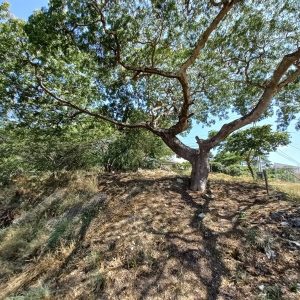 ELB-T-007 Terreno en Venta Exclusivo Conjunto Privado De Urb Colinas Del Turbio, Barquisimeto, Lara
