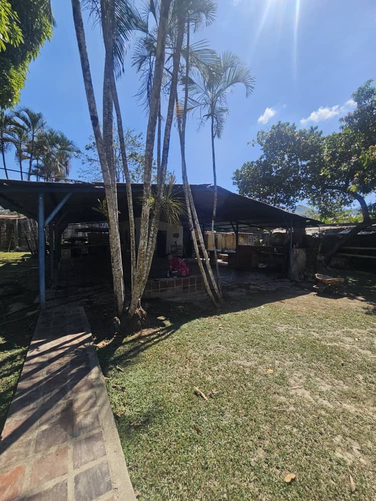 ETF-006 Finca en Venta Parcela El Bunker - Imagen 10