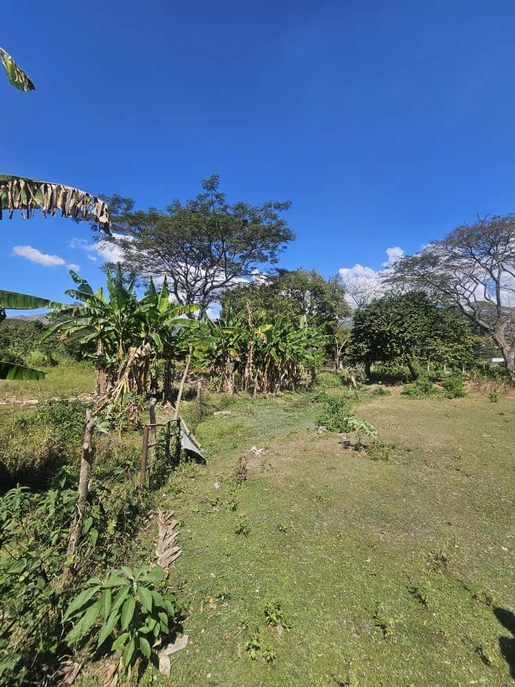ETF-006 Finca en Venta Parcela El Bunker - Imagen 3