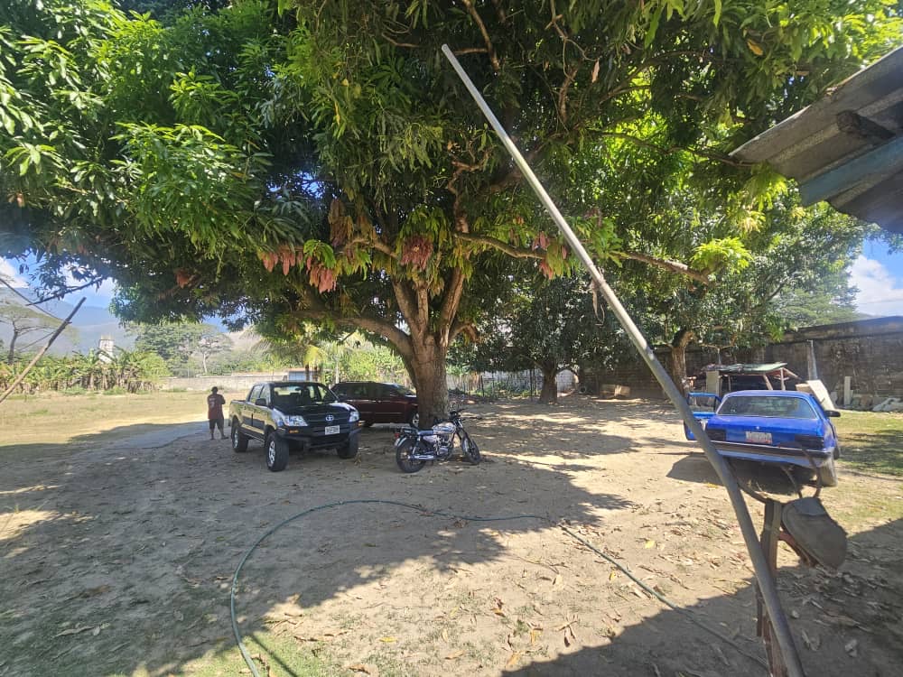 ETF-006 Finca en Venta Parcela El Bunker - Imagen 7