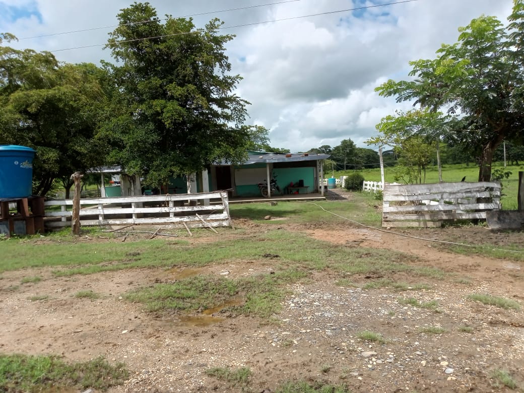 DIF-001 Finca en Venta En Arismendi, Carretera El Baul. - Imagen 2