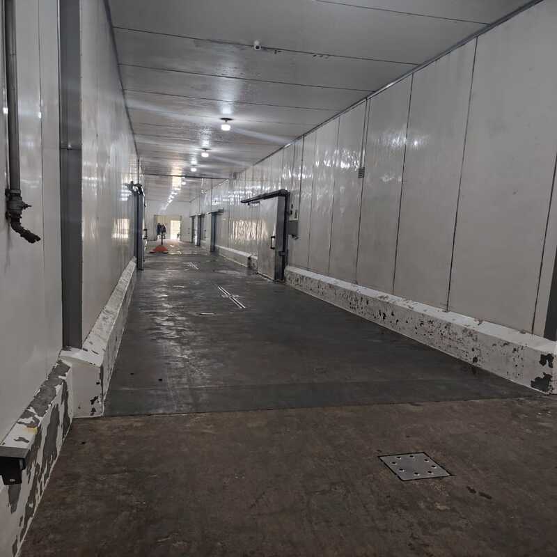 ING-068 Galpon en Venta Con Planta De Procesamiento Y Almacenamiento - Imagen 12