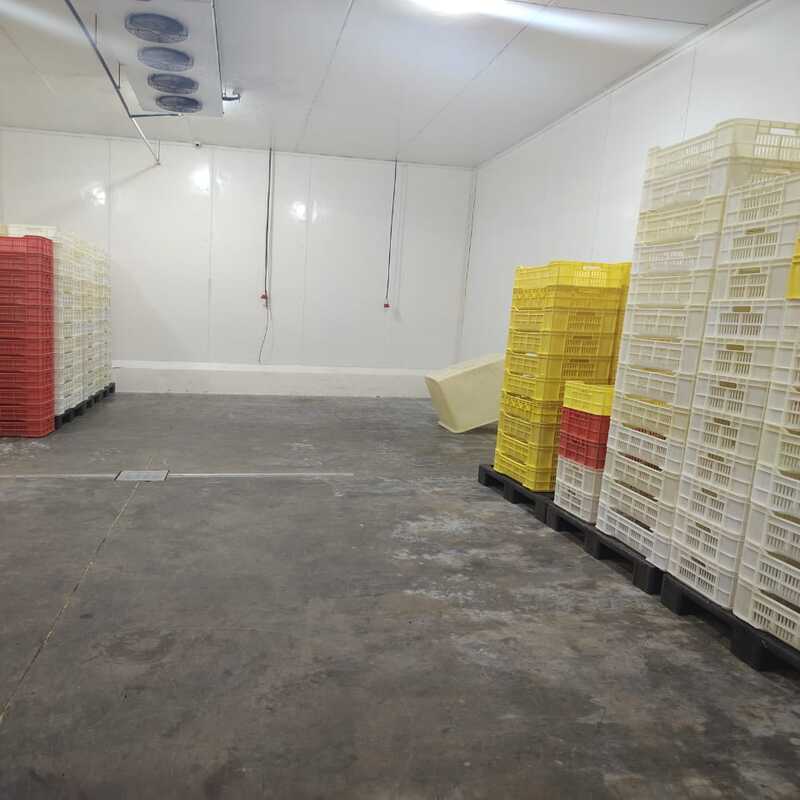 ING-068 Galpon en Venta Con Planta De Procesamiento Y Almacenamiento - Imagen 14