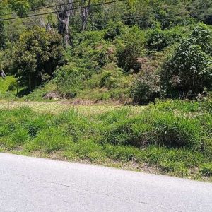 DIT-8 Terreno en Venta Sector Cacute