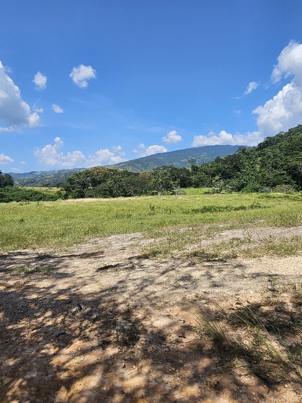 ETF-005 Finca en Venta Agropecuaria Triple P - Imagen 3