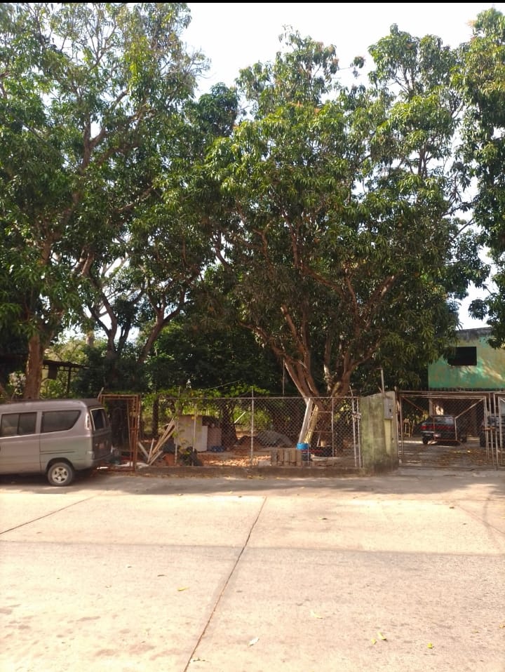 VIT-009 Terreno en Venta Monte Alegre - Imagen 12