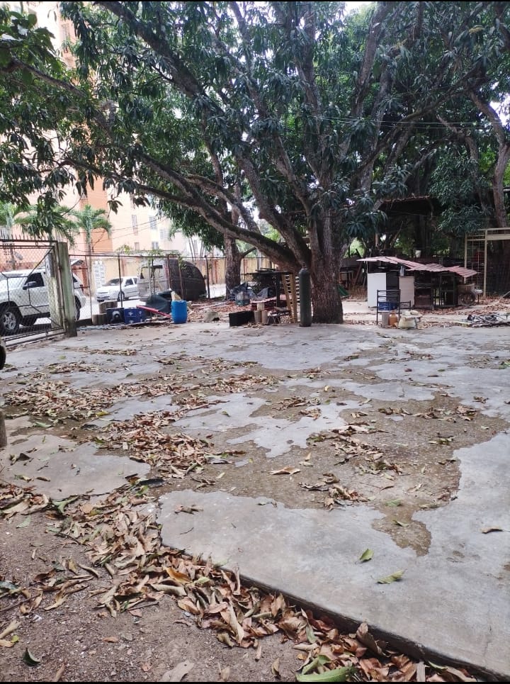 VIT-009 Terreno en Venta Monte Alegre - Imagen 13