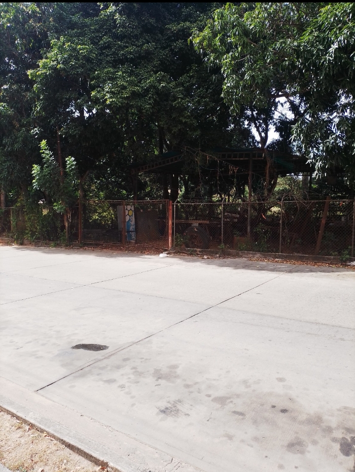 VIT-009 Terreno en Venta Monte Alegre - Imagen 2