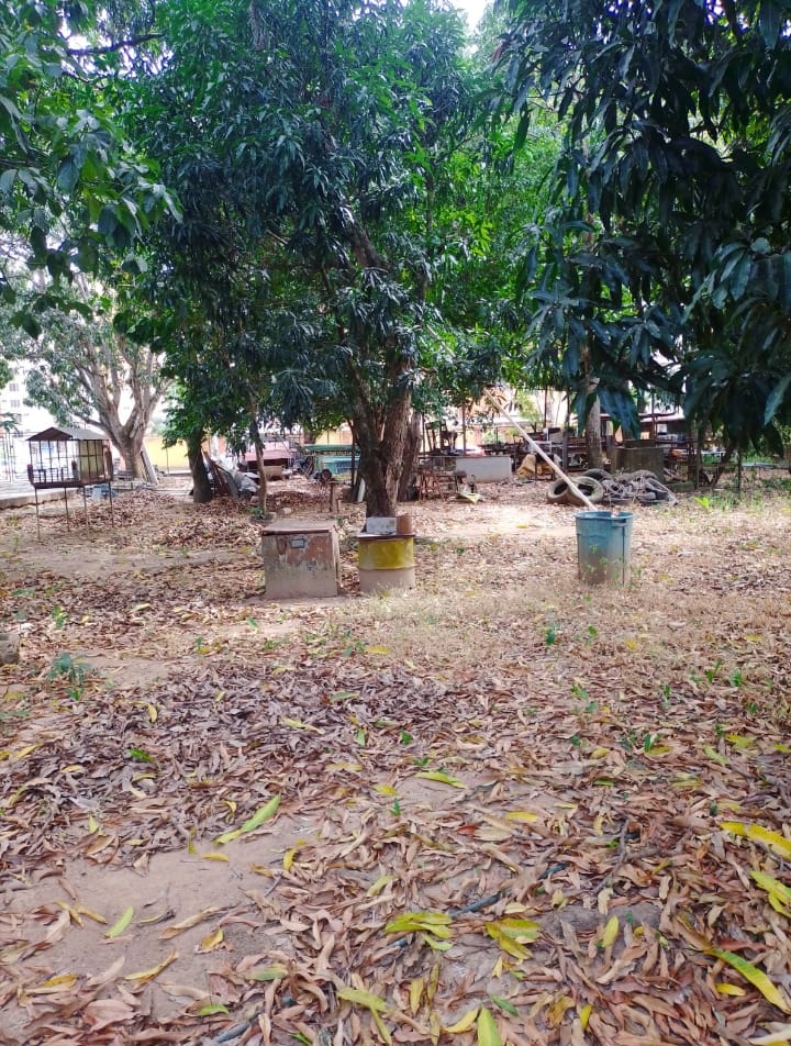 VIT-009 Terreno en Venta Monte Alegre - Imagen 4