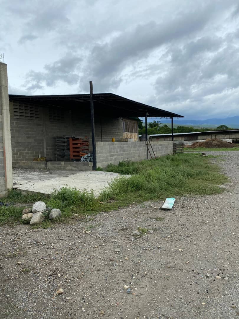 ELBT-046 Terreno en Venta Granja Multiproposito En Cuara A 5 Minutos De Quibor