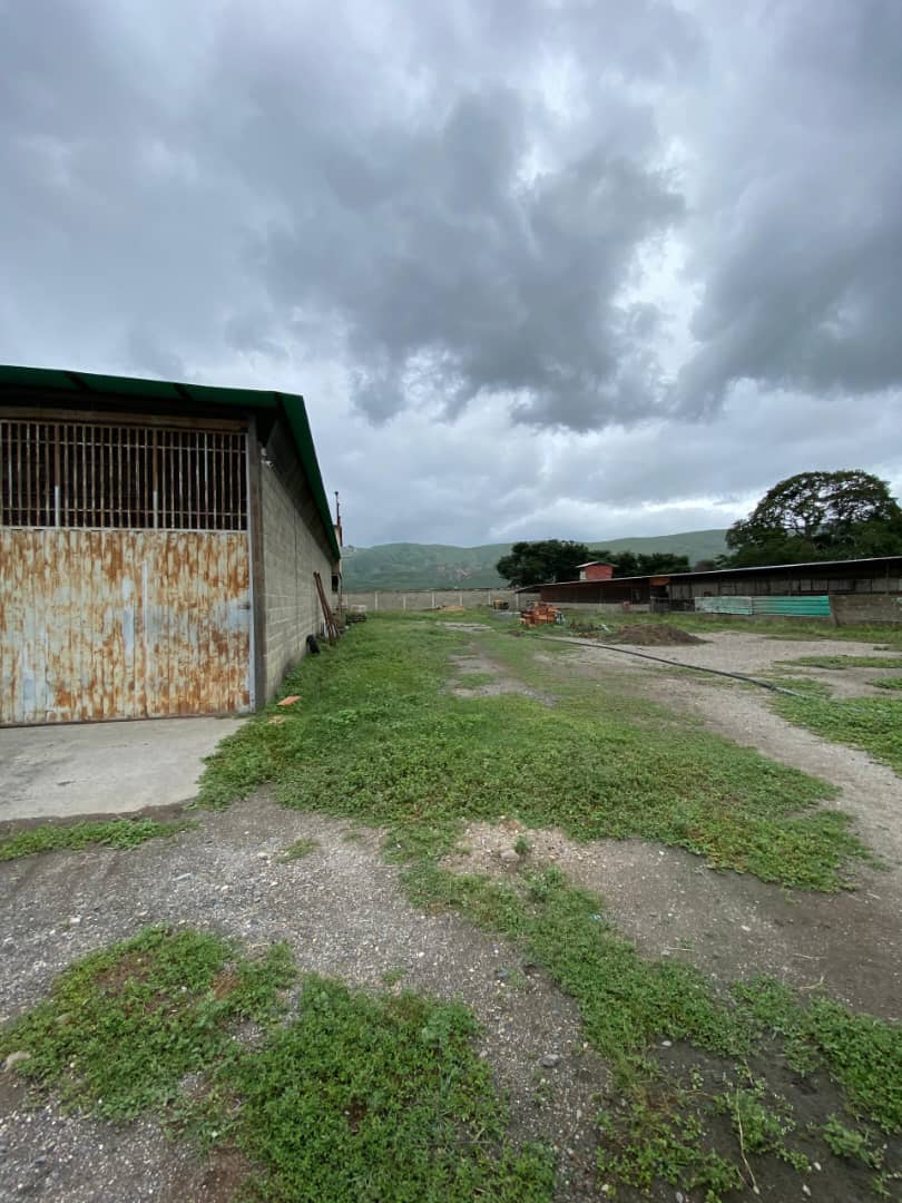 ELBT-046 Terreno en Venta Granja Multiproposito En Cuara A 5 Minutos De Quibor - Imagen 11