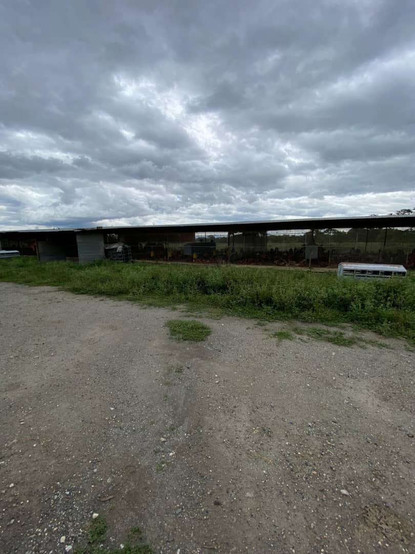 ELBT-046 Terreno en Venta Granja Multiproposito En Cuara A 5 Minutos De Quibor - Imagen 6