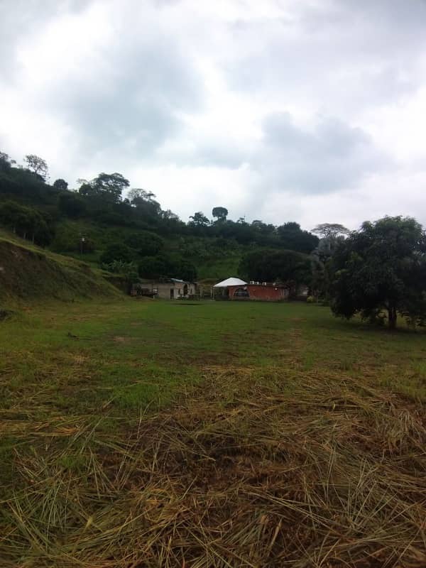 VIF-002 Finca en Venta Sector Trincheras Naguangua - Imagen 14