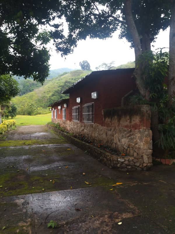 VIF-002 Finca en Venta Sector Trincheras Naguangua - Imagen 4