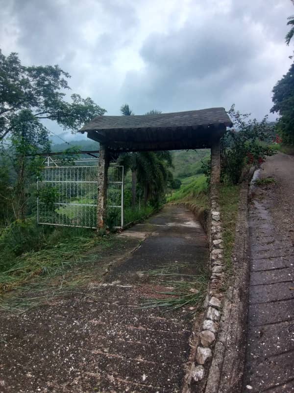 VIF-002 Finca en Venta Sector Trincheras Naguangua - Imagen 5