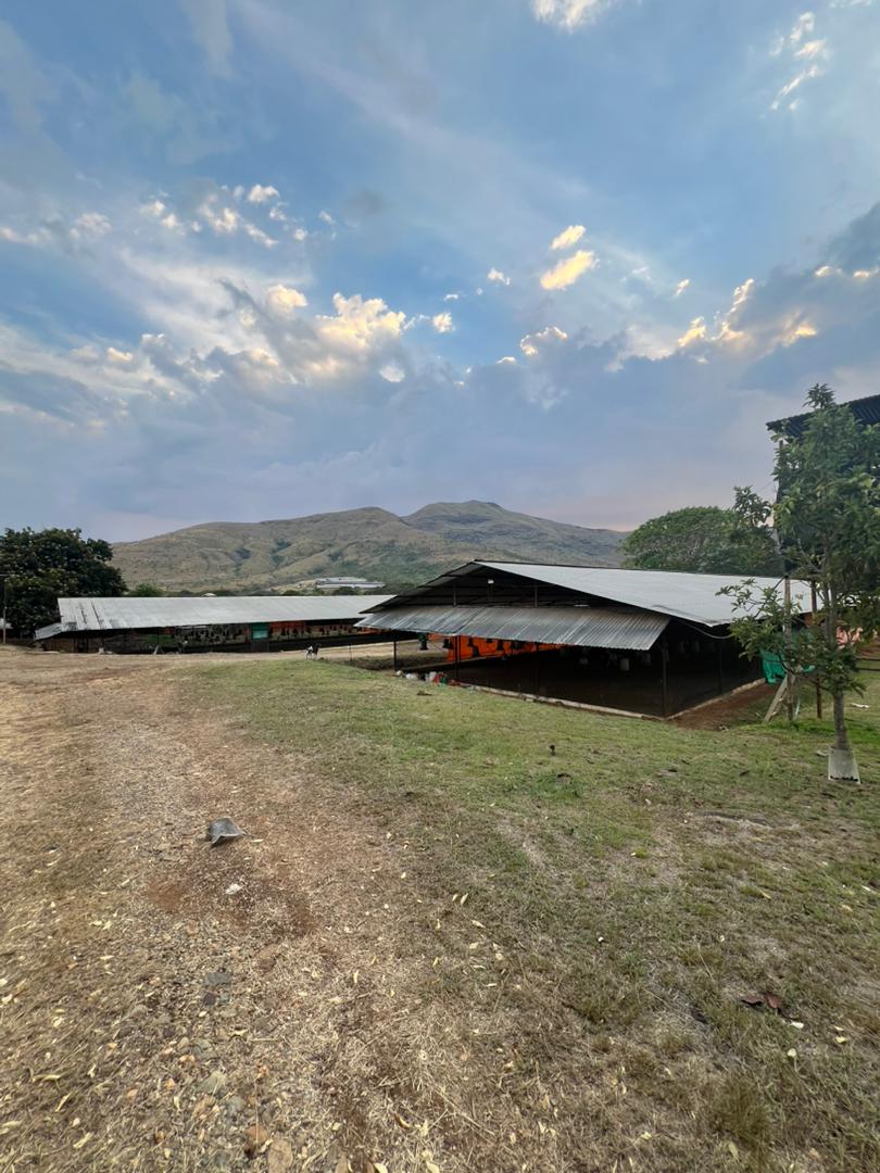 VIF-005 Finca en Venta Banco Bonito - Imagen 4