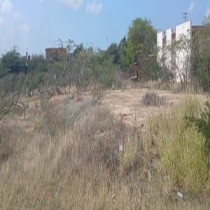 PLT-323 Terreno en Venta  En Punto Fijo, Guanadito Norte, Municipio Los Taques, Estado Falcòn