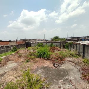 INT-094 Terreno en Venta Los Caracaros