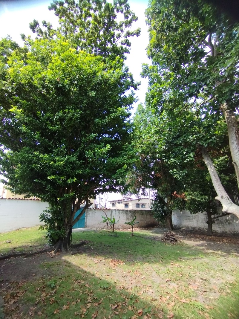 PLC-1233 Casa en Venta Quinta Calle Cascabel Con Avenida Cedeño - Imagen 6
