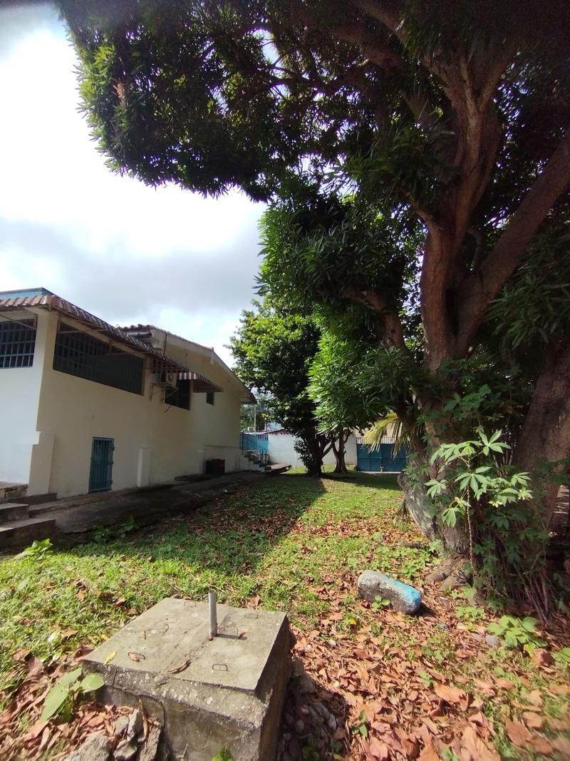 PLC-1233 Casa en Venta Quinta Calle Cascabel Con Avenida Cedeño - Imagen 8