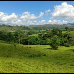 ATF-03 Finca en Venta Avicola, Porcina Y Ganadera 70% Mecanizable