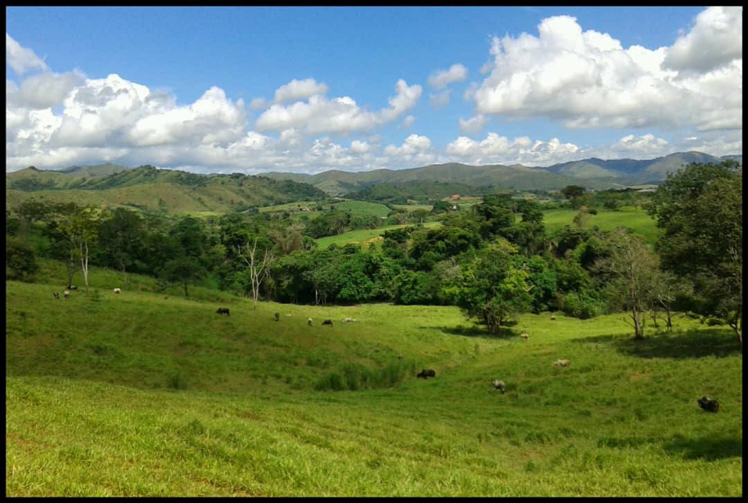 ATF-03 Finca en Venta Avicola, Porcina Y Ganadera 70% Mecanizable