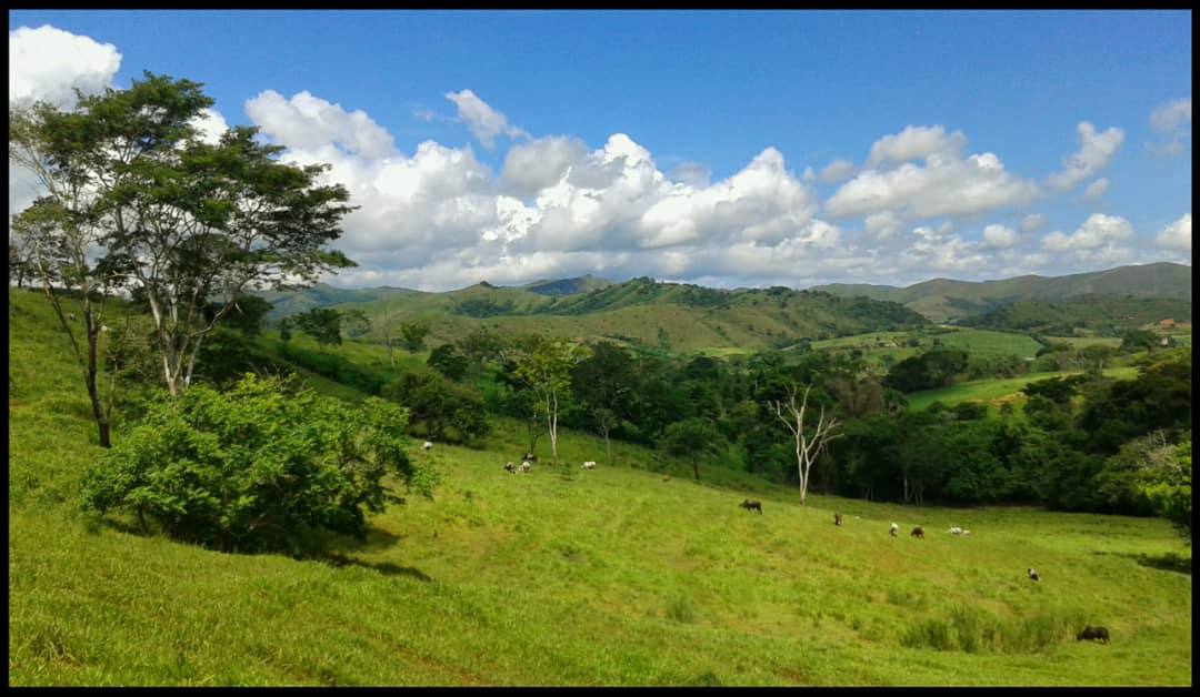 ATF-03 Finca en Venta Avicola, Porcina Y Ganadera 70% Mecanizable - Imagen 2