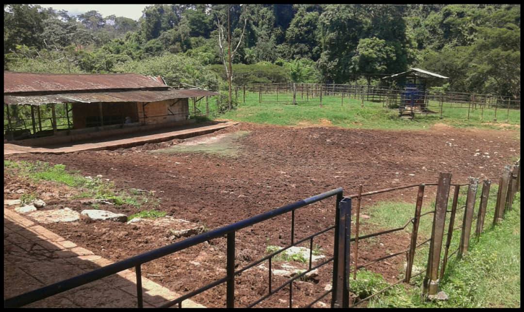 ATF-03 Finca en Venta Avicola, Porcina Y Ganadera 70% Mecanizable - Imagen 5