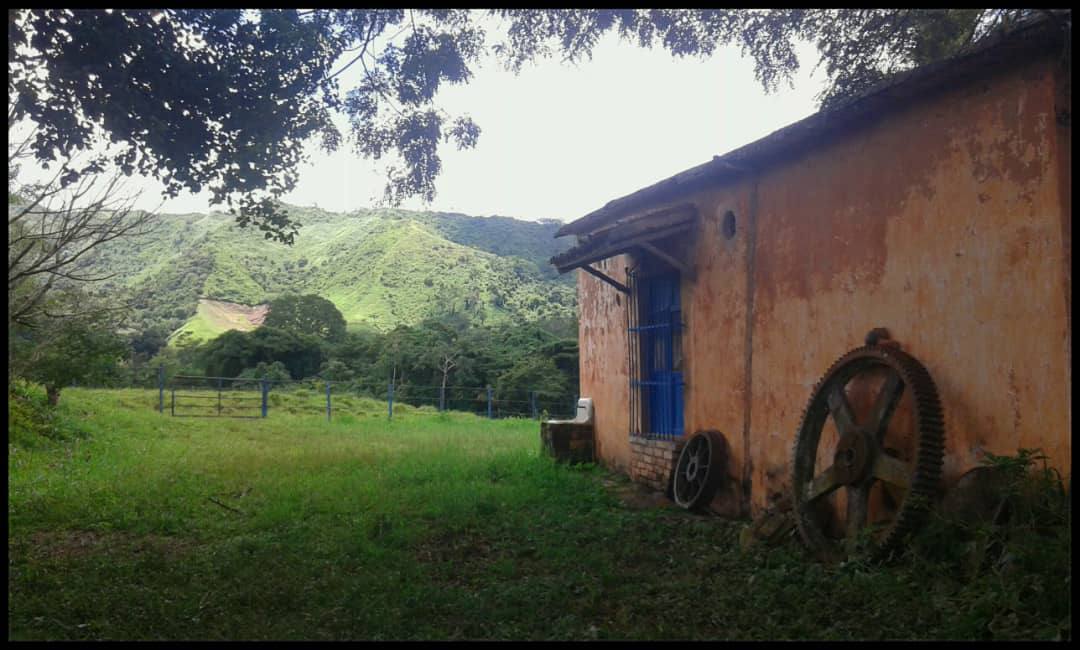 ATF-03 Finca en Venta Avicola, Porcina Y Ganadera 70% Mecanizable - Imagen 6