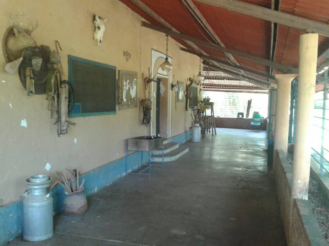 ATF-03 Finca en Venta Avicola, Porcina Y Ganadera 70% Mecanizable - Imagen 7