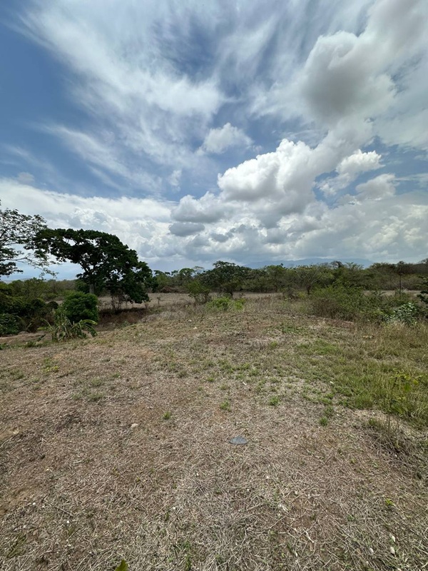 ELBF-064 Finca en Venta Finca Porcina En Chivacoa - Imagen 5