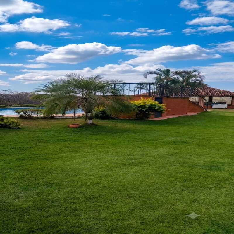 INF-004 Finca en Venta En Sabana Del Medio - Imagen 6