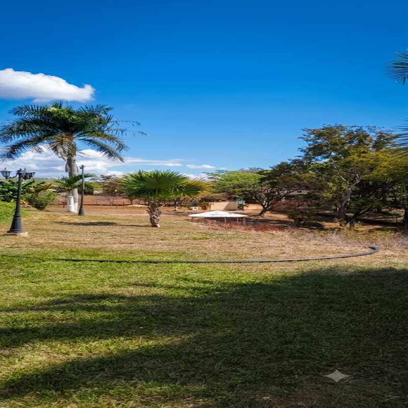 INF-004 Finca en Venta En Sabana Del Medio - Imagen 8