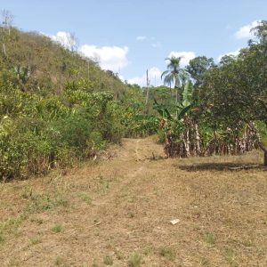 ELBF-68 Finca en Venta El Buria