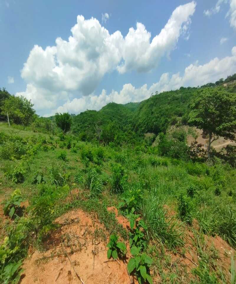 ELBF-69 Finca en Venta Asentamiento Campesino Los Bucares - Imagen 5