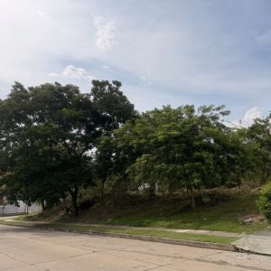 DIT-4 Terreno en Venta Mejor Zona De Valencia
