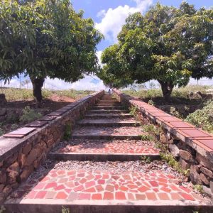 ELBT-101 Terreno en Venta Caserío El Timotal